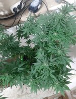 20260124_071227.jpg 20260124_071227.jpg