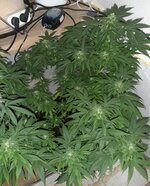 20260124_072523.jpg 20260124_072523.jpg