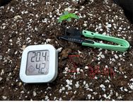 Без имени.png