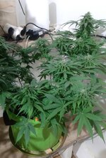 20260125_061609.jpg 20260125_061609.jpg