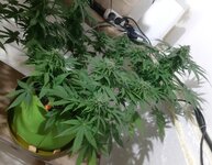 20260125_062043.jpg 20260125_062043.jpg