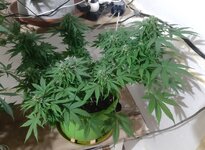 20260125_063743.jpg 20260125_063743.jpg