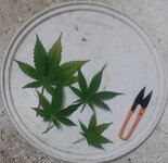 20250523_192135.jpg 20250523_192135.jpg