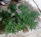 20260125_064015.jpg 20260125_064015.jpg