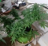 20260125_064000.jpg 20260125_064000.jpg