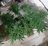 20260125_064922.jpg 20260125_064922.jpg