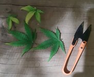 20250525_184923.jpg 20250525_184923.jpg