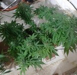 20260125_070156.jpg 20260125_070156.jpg