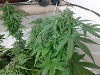 20260125_082352.jpg 20260125_082352.jpg