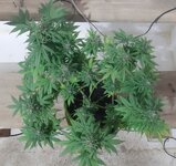 20260125_090511.jpg 20260125_090511.jpg