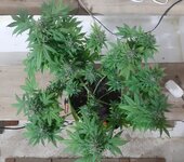 20260125_094820.jpg 20260125_094820.jpg