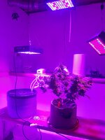 20260125_101425.jpg 20260125_101425.jpg