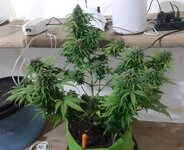 20260125_101821.jpg 20260125_101821.jpg