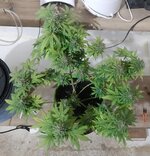 20260125_102036.jpg 20260125_102036.jpg