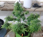 20260125_102025.jpg 20260125_102025.jpg