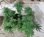 20260125_082339.jpg 20260125_082339.jpg