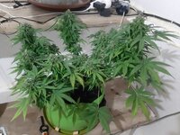 20260125_082309.jpg 20260125_082309.jpg