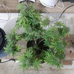 20260125_101809.jpg 20260125_101809.jpg