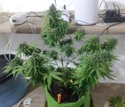 20260126_062047.jpg 20260126_062047.jpg