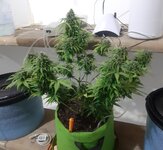 20260126_062722.jpg 20260126_062722.jpg