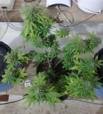 20260126_063004.jpg 20260126_063004.jpg