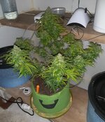 20260126_062939.jpg 20260126_062939.jpg