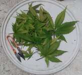 20250610_205442.jpg 20250610_205442.jpg