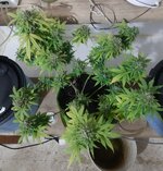 20260126_070157.jpg 20260126_070157.jpg