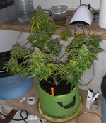 20260126_070210.jpg 20260126_070210.jpg