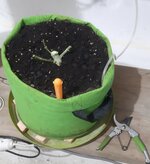 20260126_070502.jpg 20260126_070502.jpg