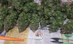 20260127_061012.jpg 20260127_061012.jpg