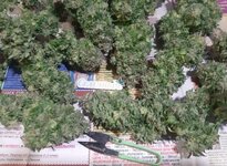 20260127_060852.jpg 20260127_060852.jpg