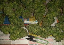 20260127_060836.jpg 20260127_060836.jpg