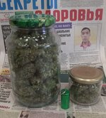 20260127_060806.jpg 20260127_060806.jpg