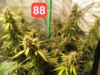 photo_2026-01-28_16-33-28 (2).jpg