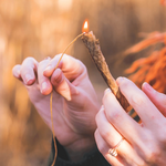 1769775157557.png 1769775157557.png