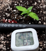 Без имени.png