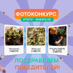 photo-of-the-month-december.jpg photo-of-the-month-december.jpg