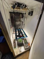 IMG_2922.jpeg IMG_2922.jpeg