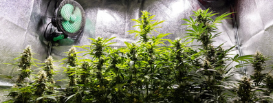 1770218543431.png 1770218543431.png