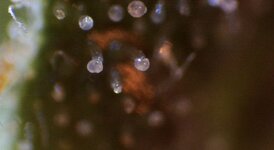 IMG_2647.jpeg IMG_2647.jpeg