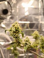 photo_2026-02-08_01-36-19 (2).jpg