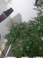 20260208_061813.jpg 20260208_061813.jpg