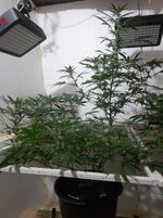 20260208_061802.jpg 20260208_061802.jpg