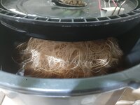 20260208_061730.jpg 20260208_061730.jpg