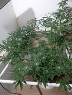 20260208_062421.jpg 20260208_062421.jpg