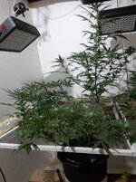 20260208_062437.jpg 20260208_062437.jpg