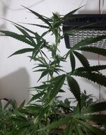 20260208_062357.jpg 20260208_062357.jpg