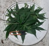 20250825_080725.jpg 20250825_080725.jpg