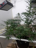 20260208_063223.jpg 20260208_063223.jpg